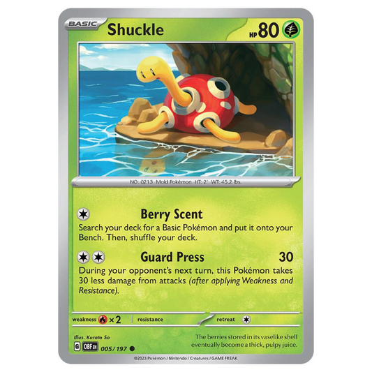 Shuckle - 005/197