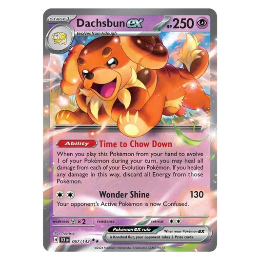 Dachsbun ex - 067/142