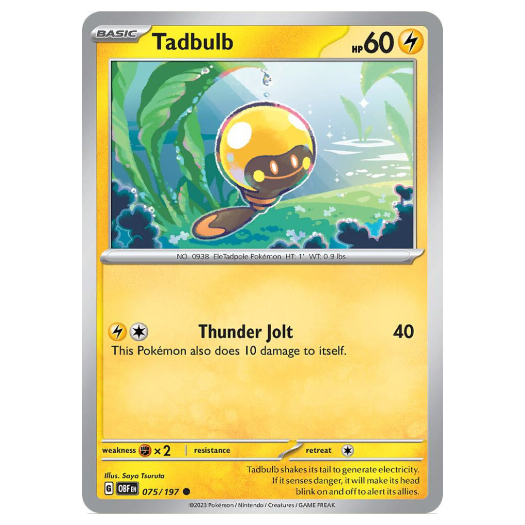 Tadbulb - 075/197